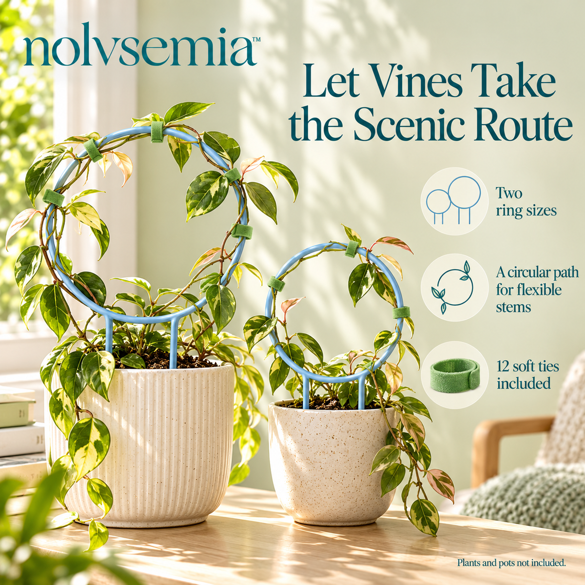 nolvsemia™ Orbit Ring Plant Trellis Set — 2 Round Metal Supports for Indoor Hoya & Vining Houseplants