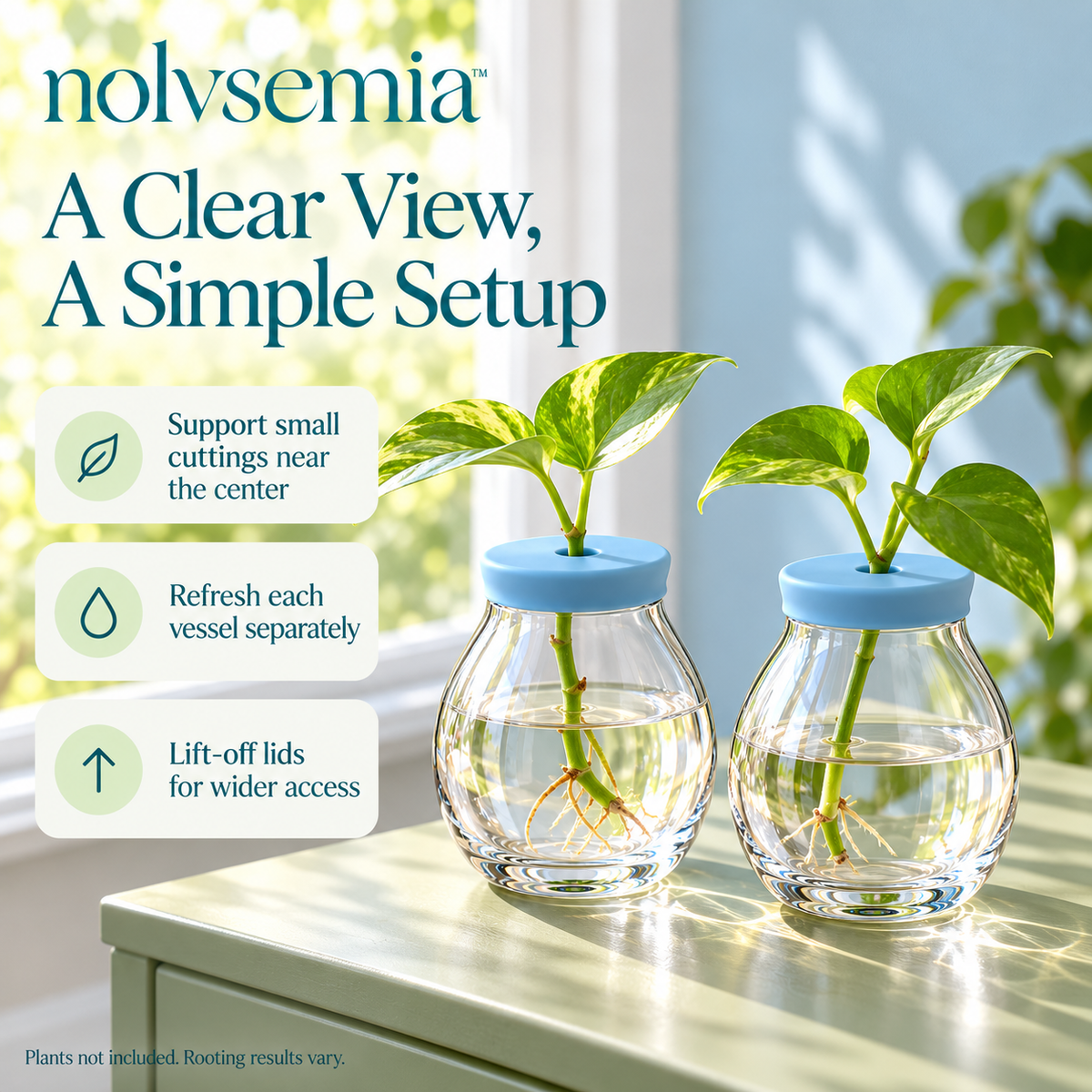 nolvsemia™ Pebble Glass Propagation Vase Set — 2 Plant Cutting Jars with Removable Stem-Support Lids