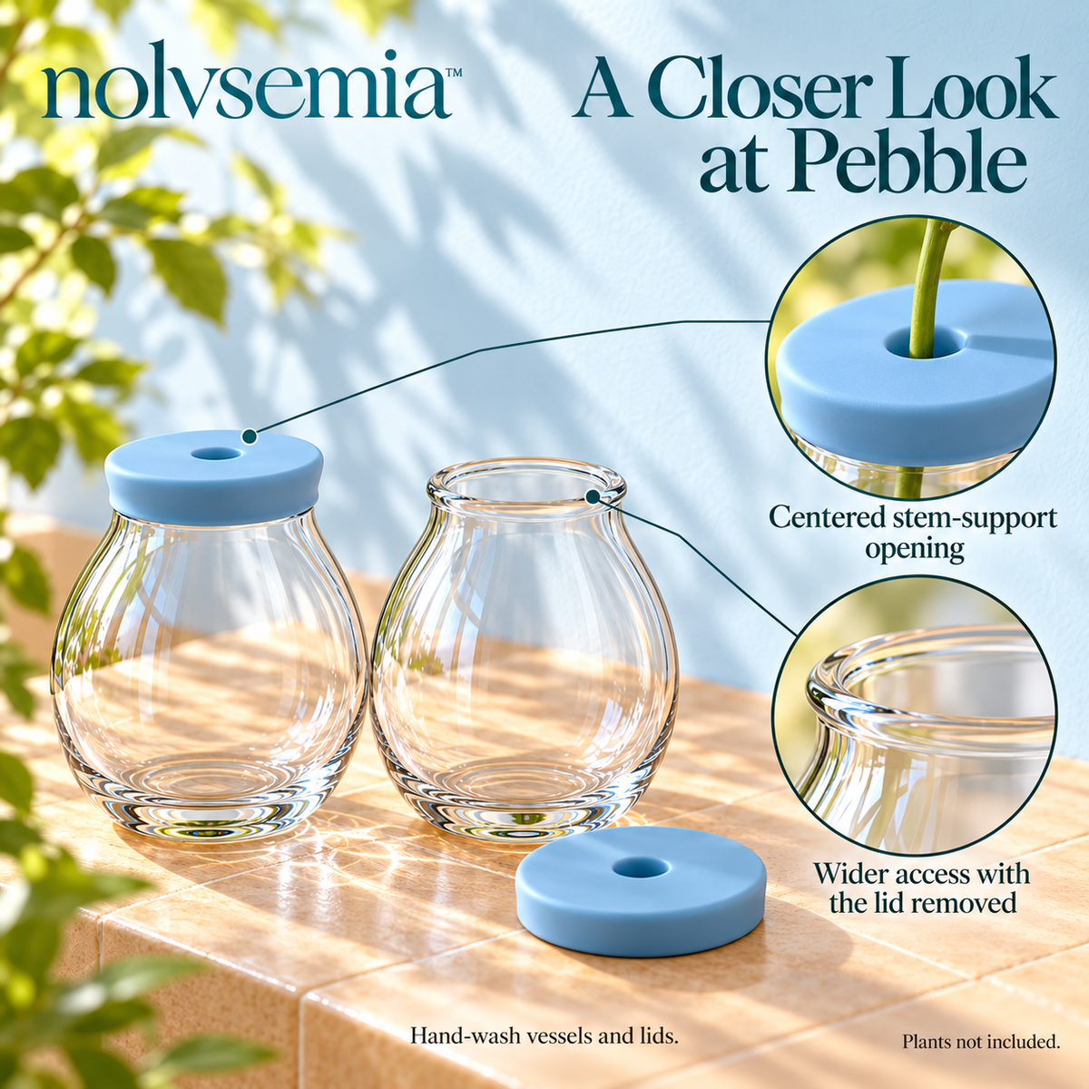 nolvsemia™ Pebble Glass Propagation Vase Set — 2 Plant Cutting Jars with Removable Stem-Support Lids