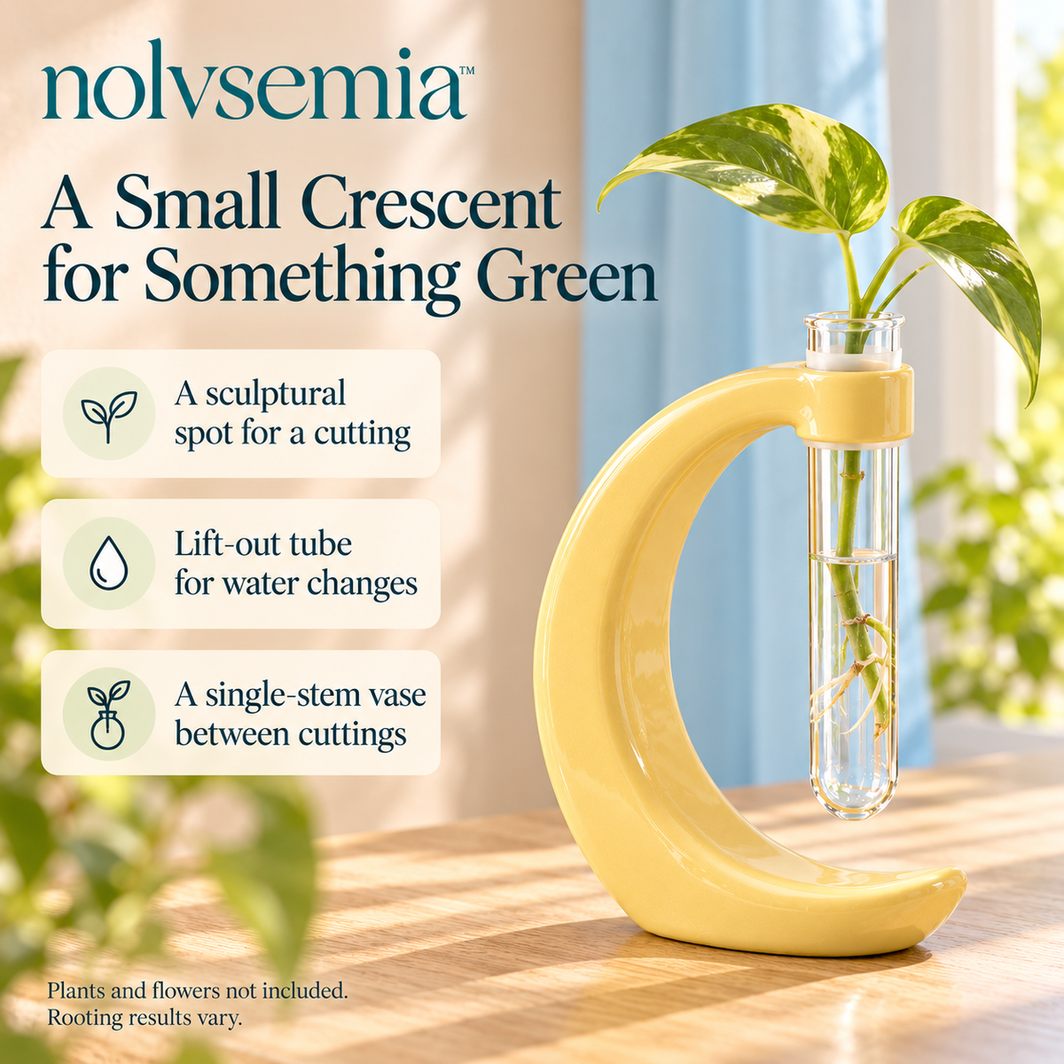 nolvsemia™ Crescent Ceramic Propagation Stand — Removable Glass Tube Bud Vase for Indoor Plant Cuttings & Desk Decor