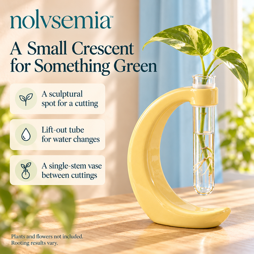 nolvsemia™ Crescent Ceramic Propagation Stand — Removable Glass Tube Bud Vase for Indoor Plant Cuttings & Desk Decor